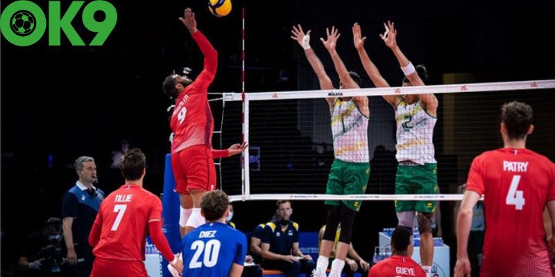 Cá Cược Bóng Chuyền Ok9 - Thông Tin Chi Tiết Cho Tân Thủ 5 Cá cược bóng chuyền Ok9 là gì?