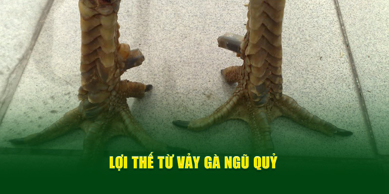 Vảy Gà Ngũ Quỷ Cùng Các Bí Kíp Bất Bại Từ Thương Hiệu OK9 5 Lợi thế từ vảy gà ngũ quỷ